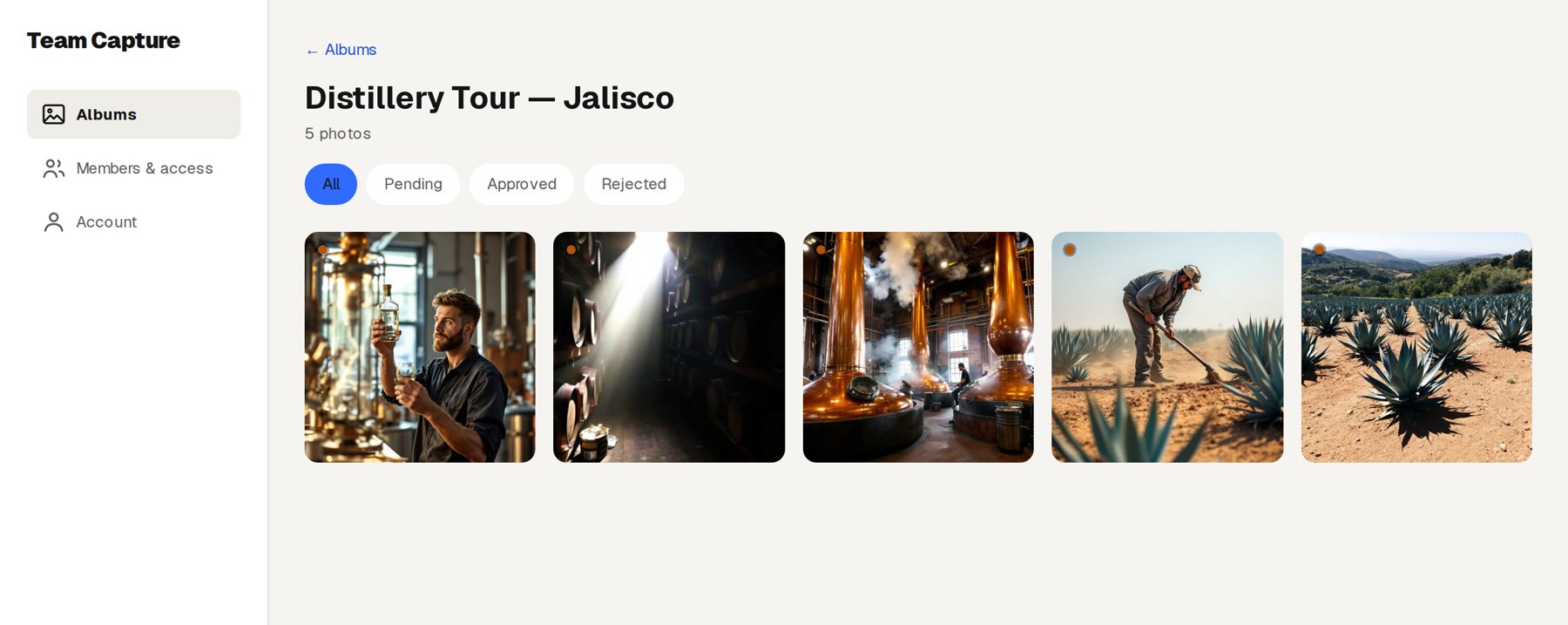 An album open in the dashboard, showing the team's photos with filters for pending, approved and rejected